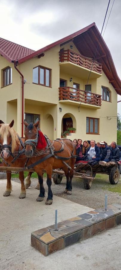 Sub Creasta Cocosului Hotel Bréb Kültér fotó